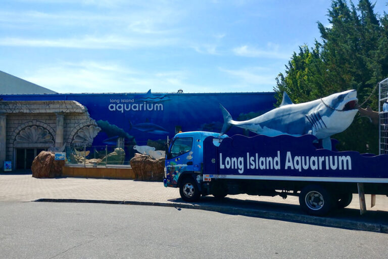 Long Island Aquarium - Long Island Guide