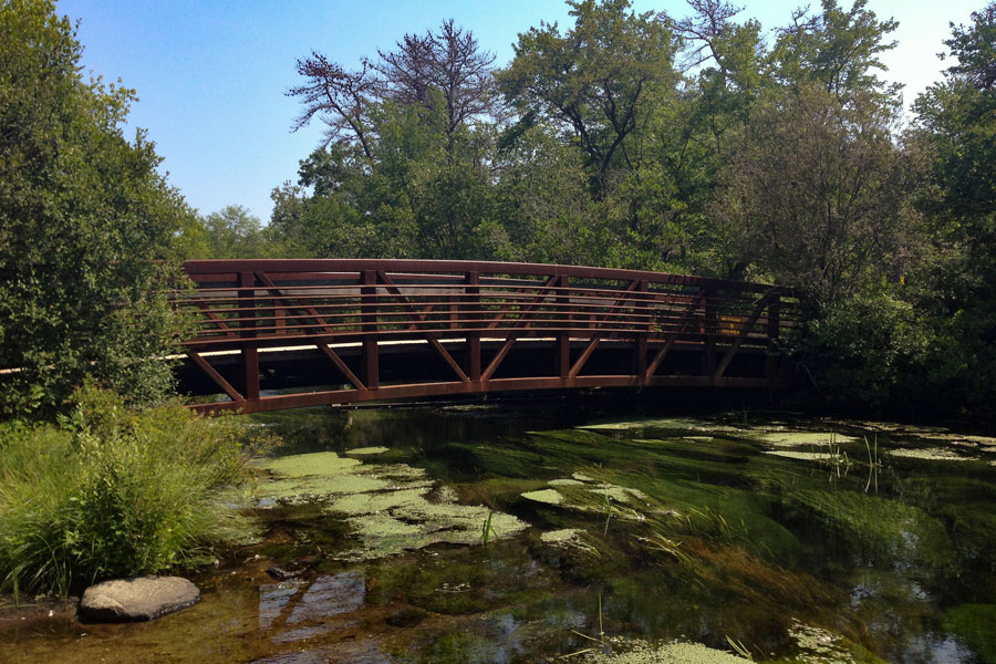 connetquot river state park bridge