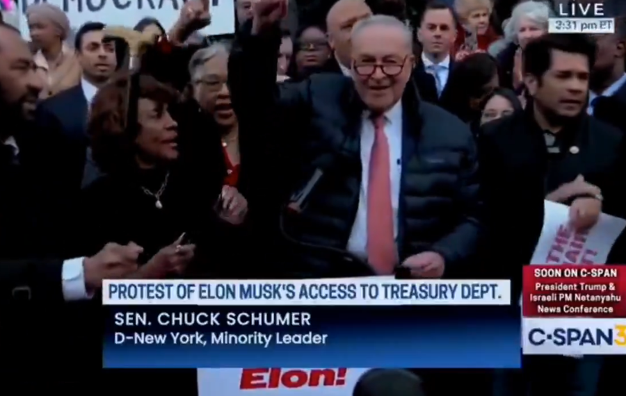 Senate Majority Leader Chuck Schumer recently led a rally outside the U.S. Treasury Department to protest Elon Musk's Department of Government Efficiency (DOGE)